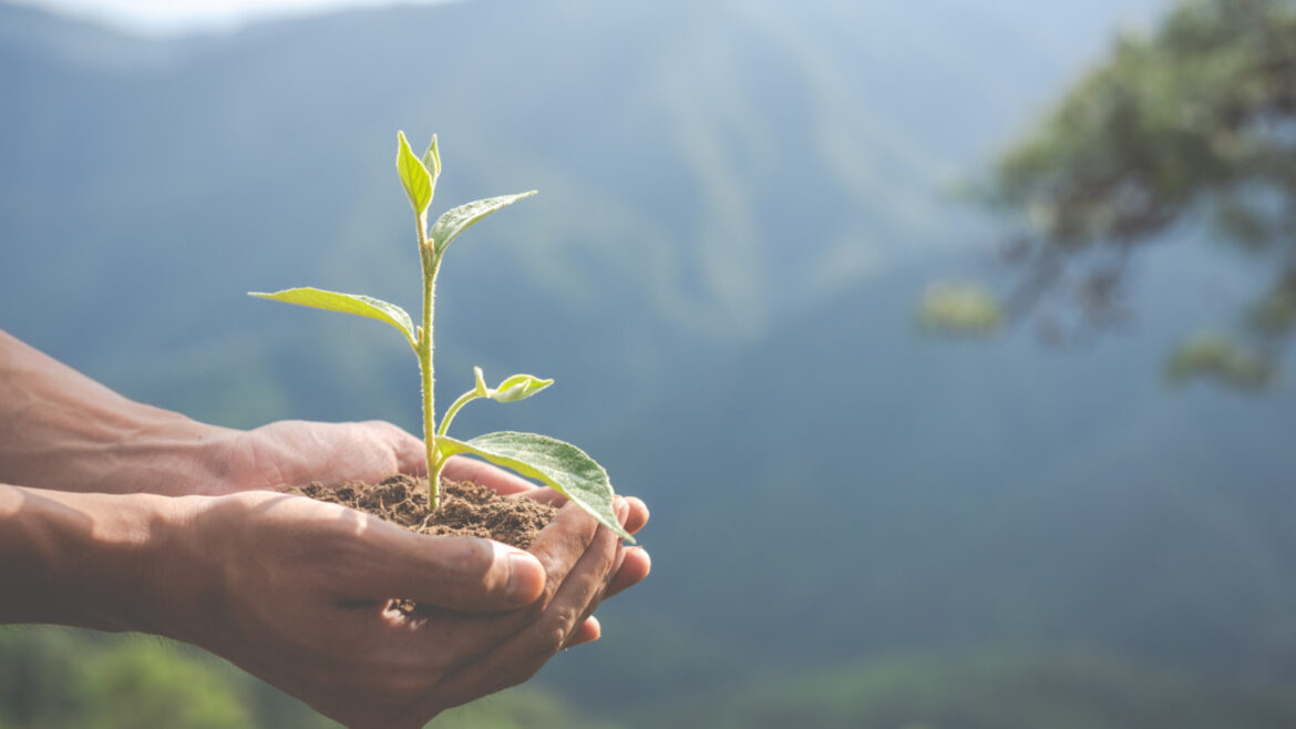 Pourquoi faire le choix de l'environnement pour votre carrière professionnelle ?